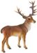 Bullyland 64433 - Figurine de jeu Cerf élaphe (Red Deer)
