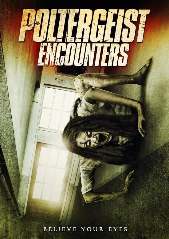 Sonic Rendezvous Poltergeist Encounters (DVD)