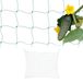 Relaxdays Klimnet voor planten