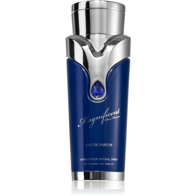 Armaf Magnificent Blue Pour Homme / 100 / Heren
