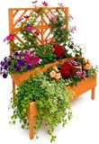 Merkloos Plantenbak met klimrek - 135x109x62 cm - hout - oranje