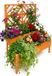 Merkloos Plantenbak met klimrek - 135x109x62 cm - hout - oranje