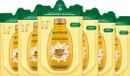 Garnier Loving Blends Kamille & Bloemenhoning Shampoo Refill - Blond Haar & Highlights - Verhelderend & Glansgevend - Hervulbaar - Navul verpakking - 6x250ml