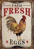 Schatzmix Nostalgie Kippen Farm Fresh Eggs metalen bord 20x30 cm Deco tin bord tinnen bord, blik, meerkleurig