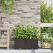 Maison Exclusive - Lot de 2 pots de jardin, marron, 80 x 40 x 37,5 cm, plastique PP