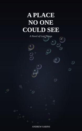 A Place No One Could See: A Novel of Lost Things