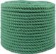 vidaXL Katoenen Touw 14 mm 50 m Groen