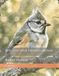 Bird Cross Stitch Pattern Collection: Bridled Titmouse