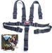 Ceinture de poussette - Réglable - Noir - Accessoire pour siège auto bébé
