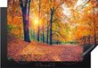 Merkloos KitchenYeah® Inductie beschermer 78x52 cm - Bomen - Herfst - Bos - Herfstbladeren - Inductie kookplaat accessoire