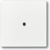 Busch-Jaeger 1710-0-3173 - Wit