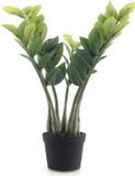 Meisterhome Kunst Zamioculcas 50 cm