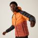 Regatta Hooded jacket Dalent