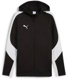 Puma TeamEVOSTRIPE Hooded Jacket 659947