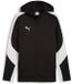 Puma TeamEVOSTRIPE Hooded Jacket 659947