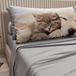 PETTI Artigiani Italiani - Beddengoed dieren met katten en honden van katoen met kussenslopen in digitale print, beddengoed voor tweepersoonsbed, lichtgrijs, 100% Made in Italy