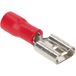 CARTREND 10492 platte steekhulzenset rood 6,3 mm, 20-delig
