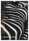 Sensuelles Calvendo Sensuelles (Calendrier mural 2027 DIN A3 horizontal), CALVENDO calendrier mensuel