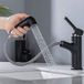 Merkloos Unyqoos Badkamerkraan Zwart met Uitschuifbare Douche