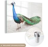 MuchoWow® Glass Painting 150x100 cm - Acrylic Glass Painting - Peacock - Sand - Feathers - Blue - Photo on Glass - Paintings