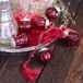 LOBERON set de 6 décorations de Noël Levier rouge