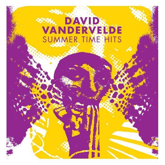 Summertime Secretly Canadian David Vandervelde - Summer Time Hits (12" Vinyl)