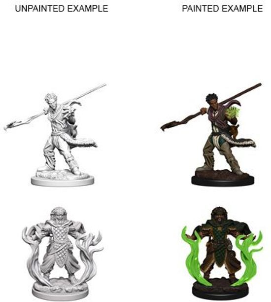 WizKids Dungeons and Dragons Nolzur's Marvelous Miniatures: Human Druid, Male