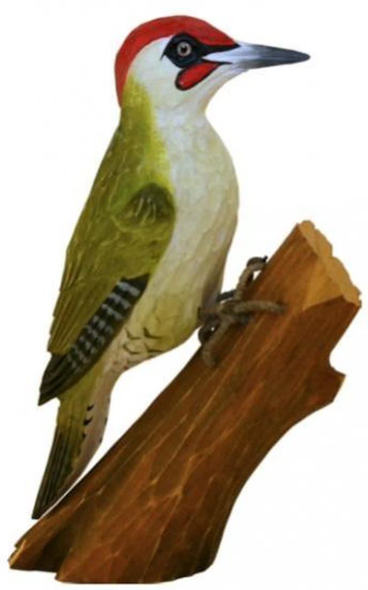 Panda - Houten vogel - groene specht