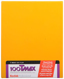Kodak TMX 100 4x5 10 vel