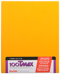 Kodak TMX 100 4x5 10 vel