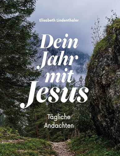 Dein Schalom Biblisches Leben Dein Jahr mit Jesus