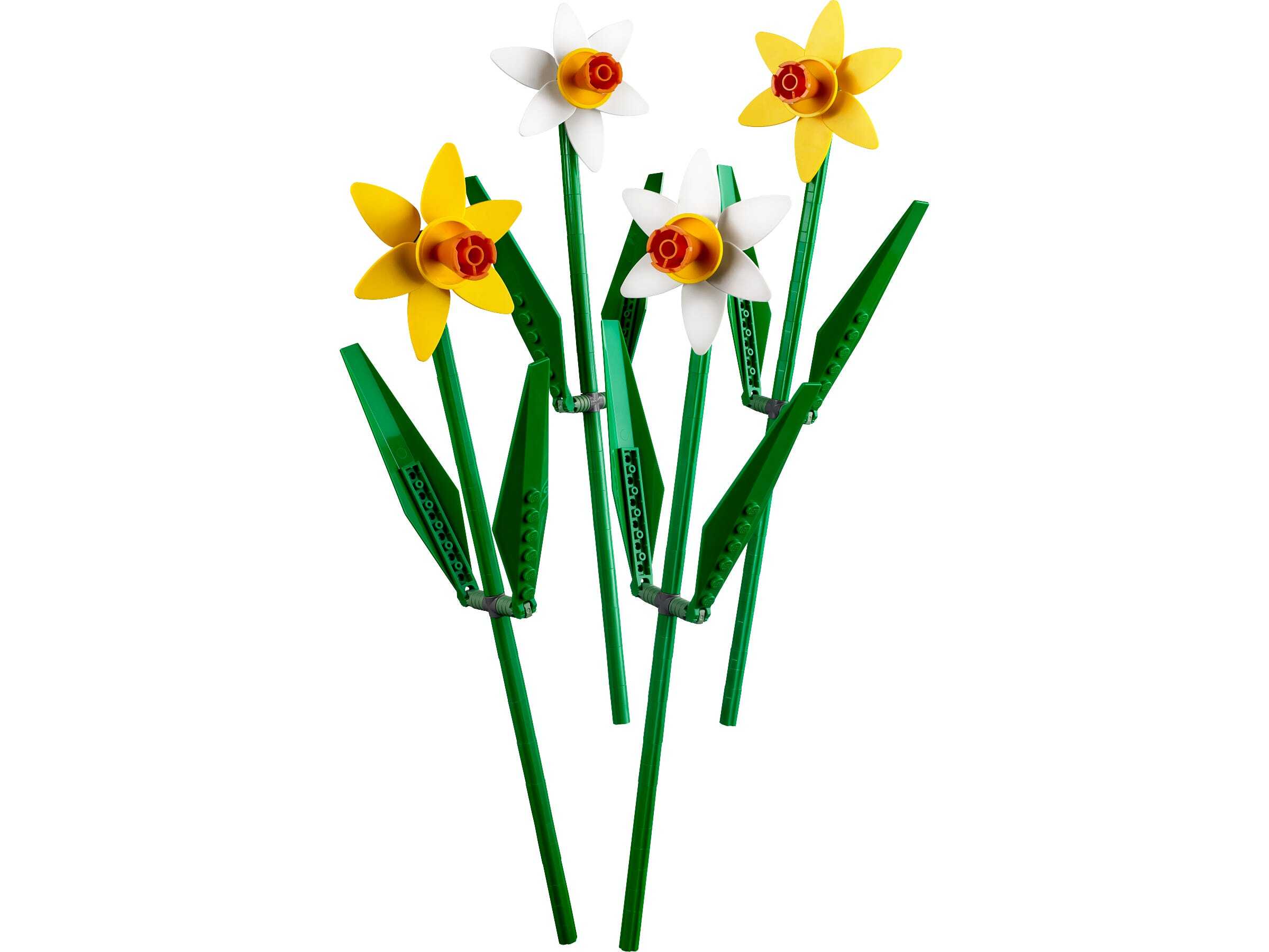 lego Narcissen