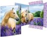 RNK Verlag Tekenmap Panda, format A3, Bleu, Violet, Beige, Vert, Blanc
