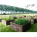Potager carré en noisetier - 100% naturel - 70 x 70 x 30 cm