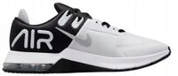 Nike Air Max CW3396100