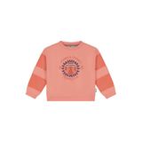 Stains&Stories sweater met print - zalm