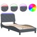 VidaXL Bedframe met LED, zonder matras, fluweel, donkergrijs, 160x200 cm