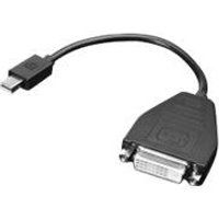 Lenovo DisplayPort-adapter - Mini DisplayPort naar DVI-D - 20 cm