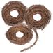 3 branches naturelles peintes de vignes pour projets créatifs