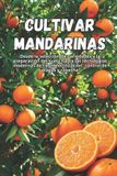 Cultivar Bol Cultivar mandarinas