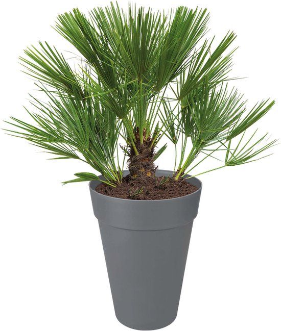 Elho Loft Urban Rond Hoog 35 - Bloempot voor Buiten - Ø 33.5 x H 45.3 cm - Antraciet