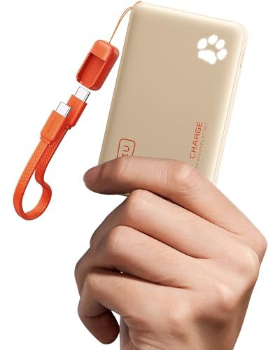 INIU Power Bank, Ultra Mini 45W Snel Laden 10000mAh USB-C Externe Batterij