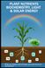 PLANT NUTRIENTS BIOCHEMISTRY LIGHT SOLAR ENERGY: With one chapter each on beans, peas and sweet corn | Beat Bachmann | For all who like the nature | ... and graphs | Format 6x9 inches | 171 pages