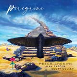 Peregrine LP + downloadcode