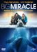 Megamoviestore Big Miracle DVD