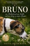 BRUNO: Ein Straßenhund aus Xanthi und sein Weg in unsere Herzen