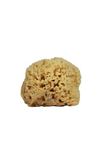 Ancient Wisdom Cotton Wall Art - Zodiac