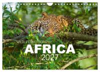 Africa Calvendo Africa Wildlife Photography (Wall Calendar 2027 DIN A4 landscape)