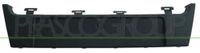 PRASCO RN0361539 Kennzeichenhalter vorne, Compatibel met: RENAULT GRAND SCÉNIC III, SCÉNIC III