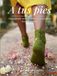 A tus pies: Doce meses, doce pares de calcetines, doce historias
